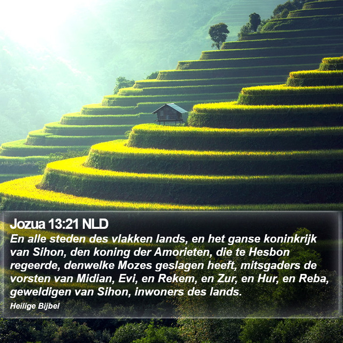 Jozua 13:21 NLD Bible Study