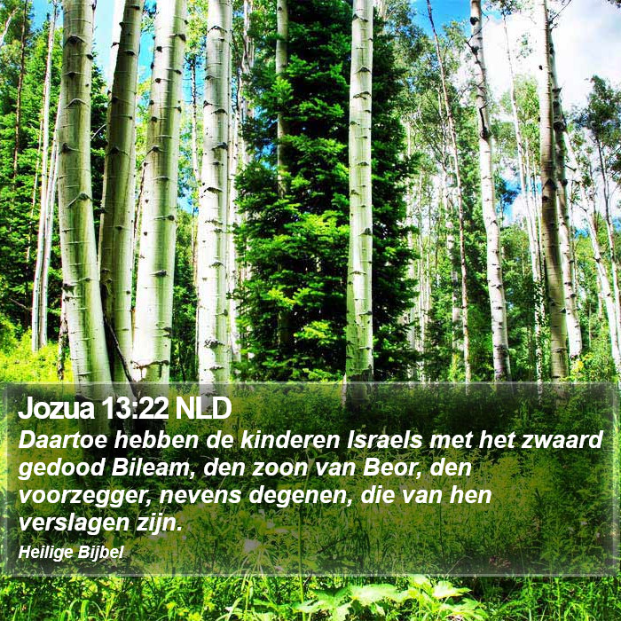 Jozua 13:22 NLD Bible Study