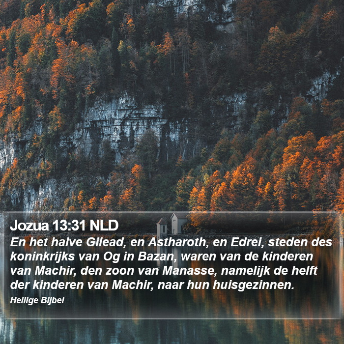 Jozua 13:31 NLD Bible Study