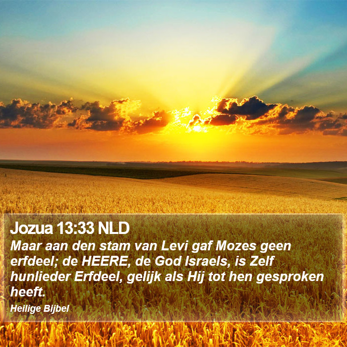 Jozua 13:33 NLD Bible Study