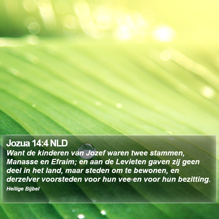 Jozua 14:4 NLD Bible Study