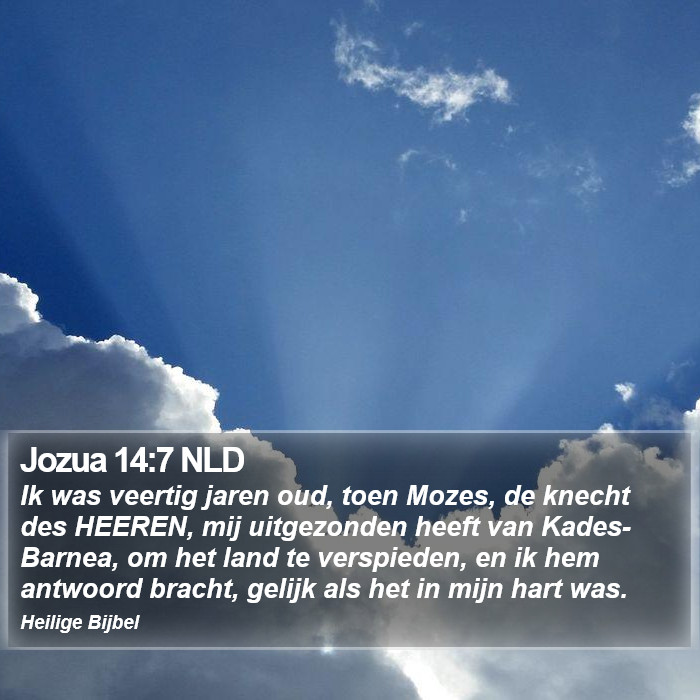 Jozua 14:7 NLD Bible Study