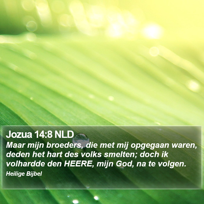 Jozua 14:8 NLD Bible Study