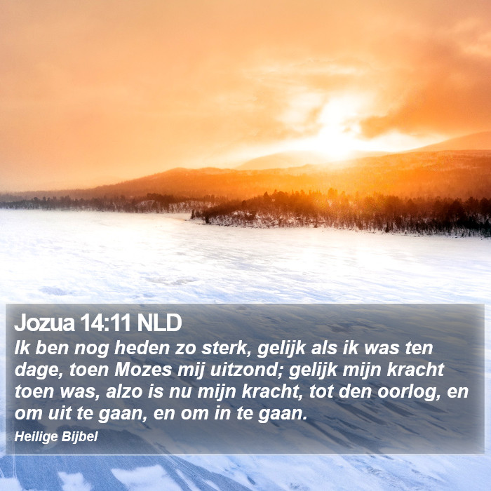Jozua 14:11 NLD Bible Study