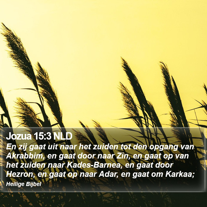 Jozua 15:3 NLD Bible Study