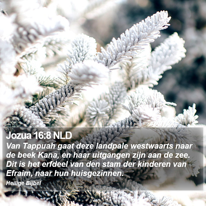 Jozua 16:8 NLD Bible Study