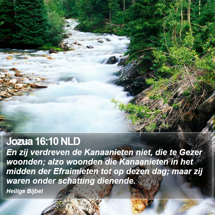 Jozua 16:10 NLD Bible Study