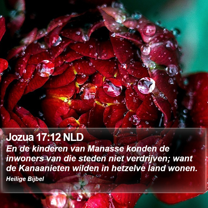 Jozua 17:12 NLD Bible Study