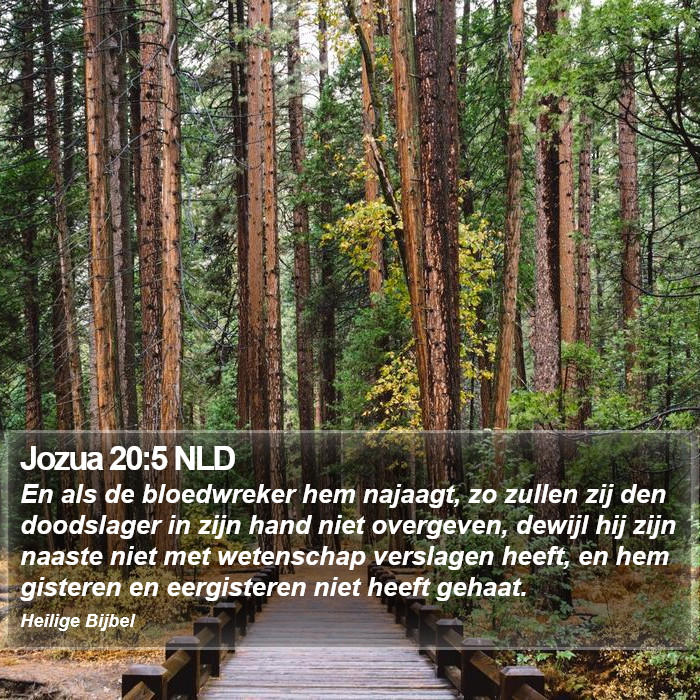 Jozua 20:5 NLD Bible Study