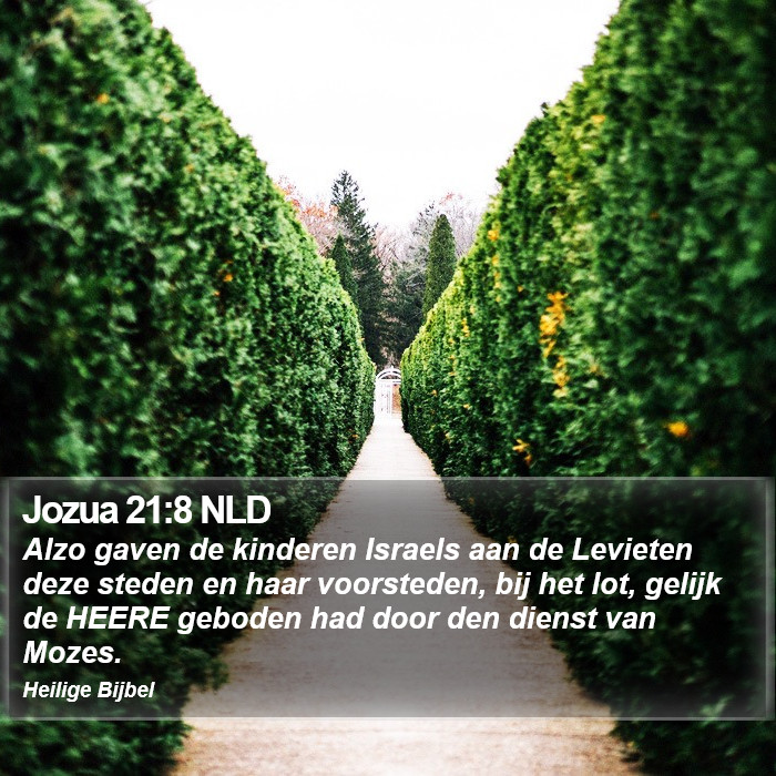 Jozua 21:8 NLD Bible Study