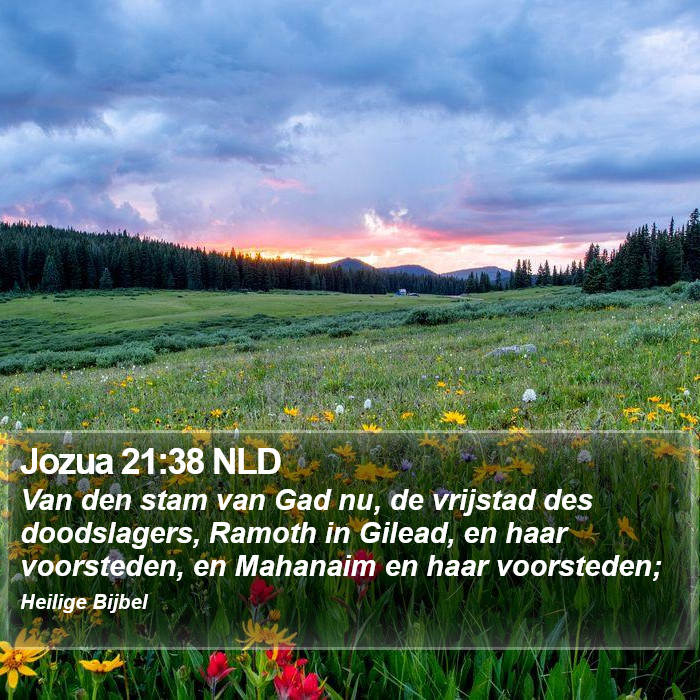 Jozua 21:38 NLD Bible Study