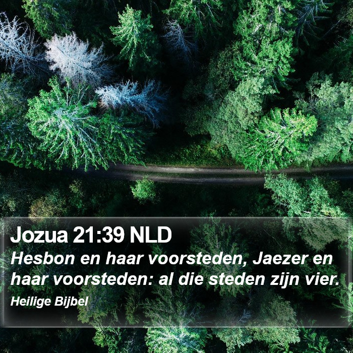 Jozua 21:39 NLD Bible Study