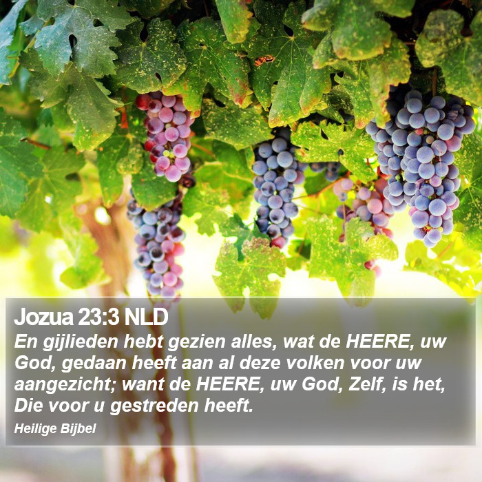 Jozua 23:3 NLD Bible Study