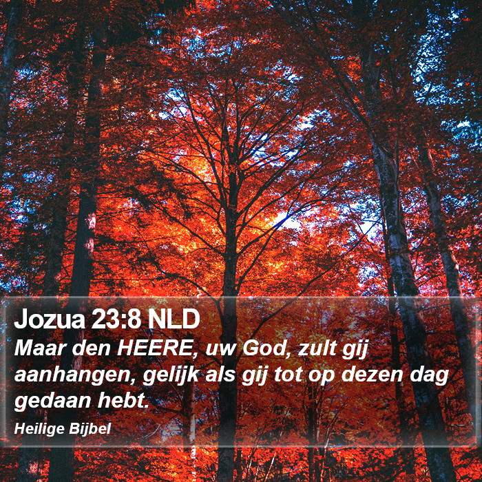 Jozua 23:8 NLD Bible Study