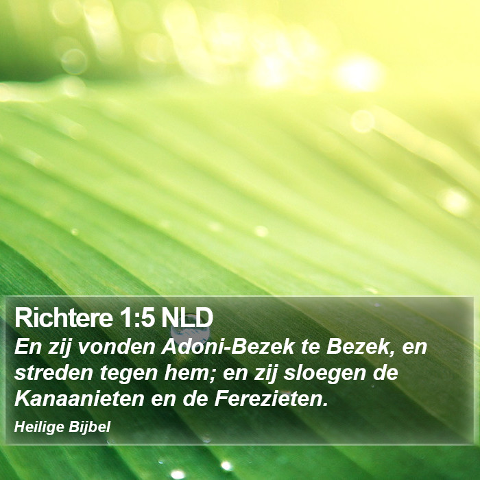 Richtere 1:5 NLD Bible Study