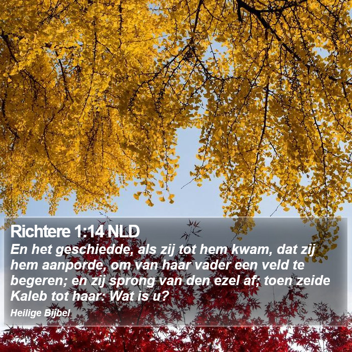 Richtere 1:14 NLD Bible Study