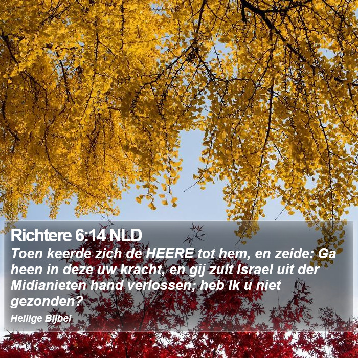 Richtere 6:14 NLD Bible Study