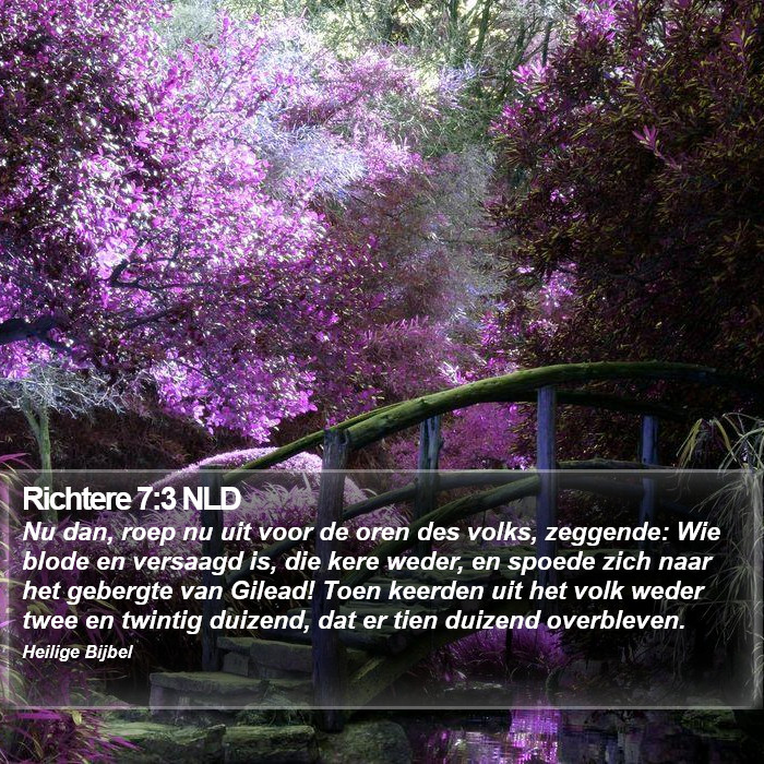 Richtere 7:3 NLD Bible Study