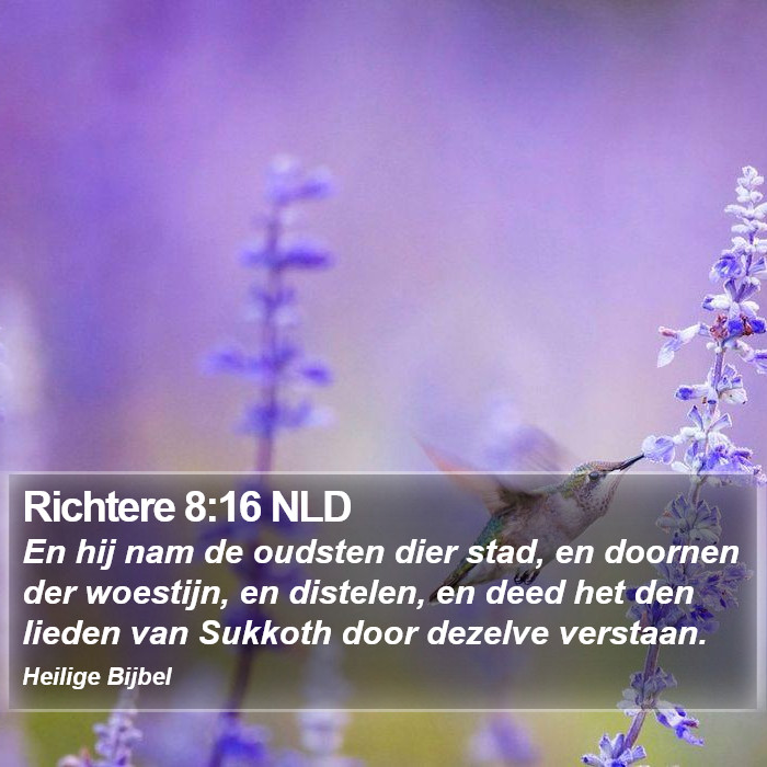 Richtere 8:16 NLD Bible Study