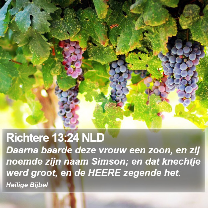 Richtere 13:24 NLD Bible Study