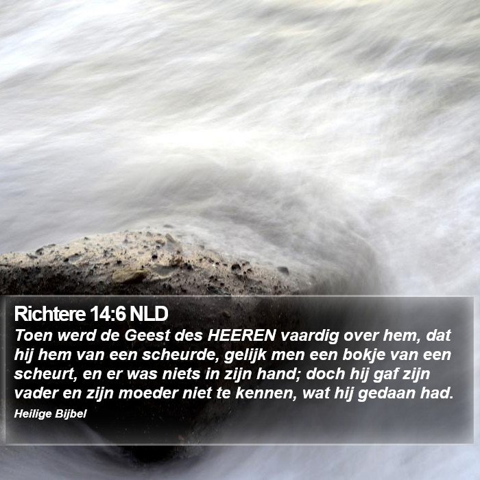 Richtere 14:6 NLD Bible Study