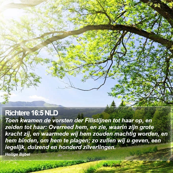 Richtere 16:5 NLD Bible Study