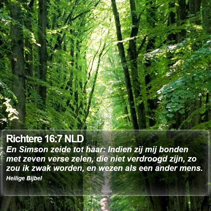 Richtere 16:7 NLD Bible Study