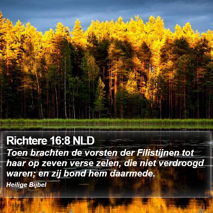 Richtere 16:8 NLD Bible Study