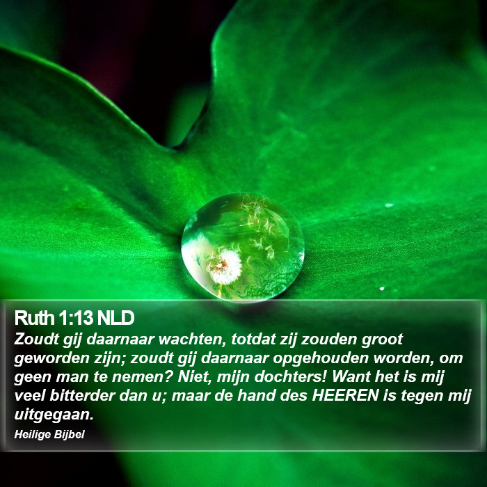 Ruth 1:13 NLD Bible Study