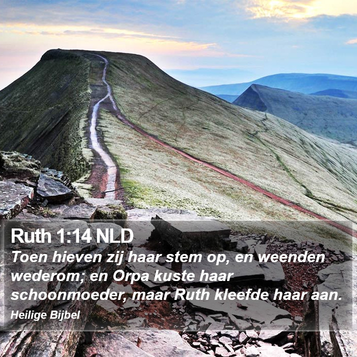 Ruth 1:14 NLD Bible Study