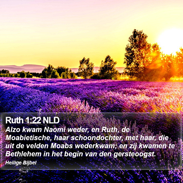 Ruth 1:22 NLD Bible Study