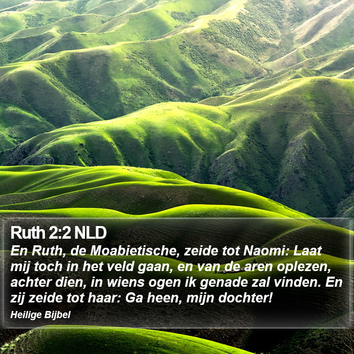 Ruth 2:2 NLD Bible Study