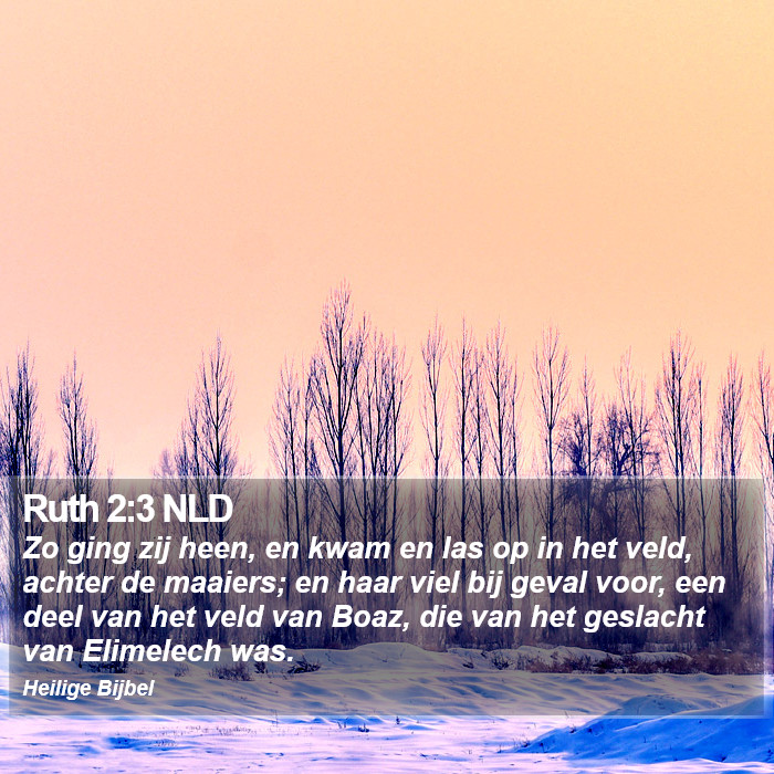 Ruth 2:3 NLD Bible Study