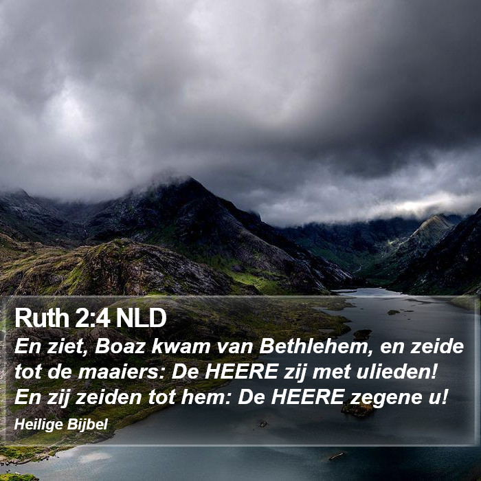Ruth 2:4 NLD Bible Study