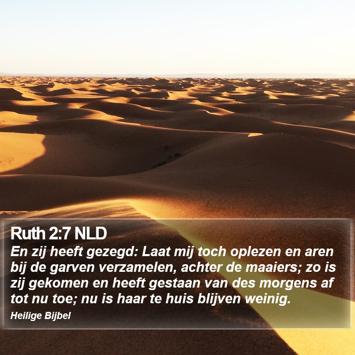 Ruth 2:7 NLD Bible Study