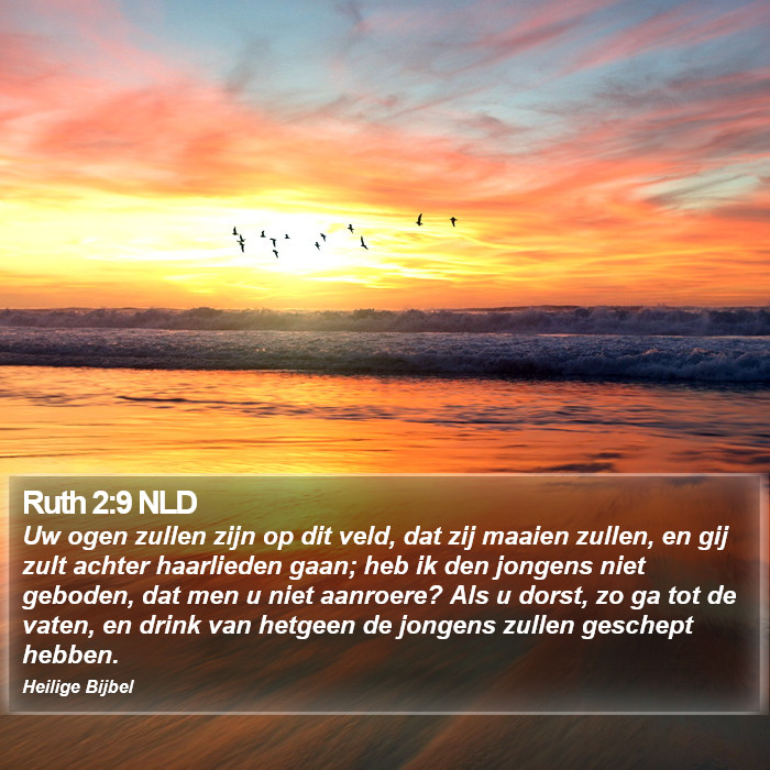 Ruth 2:9 NLD Bible Study