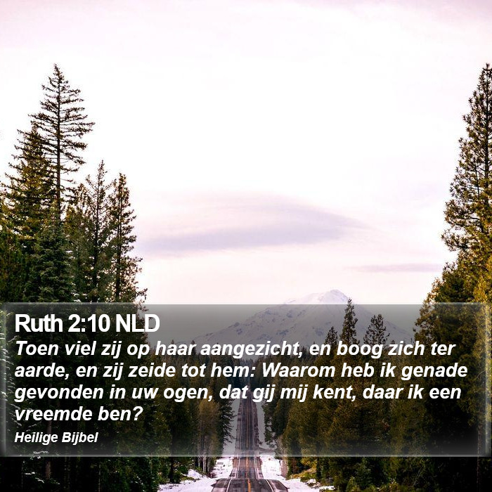 Ruth 2:10 NLD Bible Study