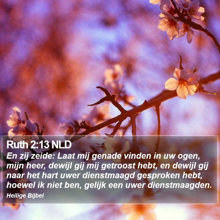 Ruth 2:13 NLD Bible Study