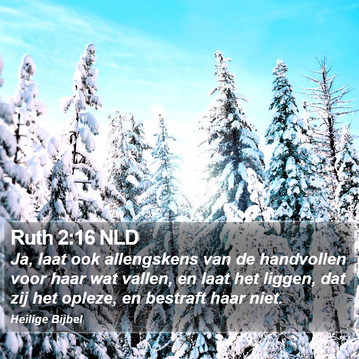 Ruth 2:16 NLD Bible Study
