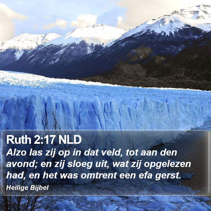 Ruth 2:17 NLD Bible Study
