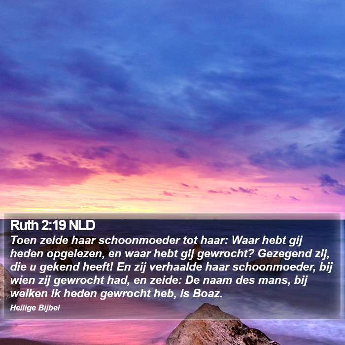 Ruth 2:19 NLD Bible Study