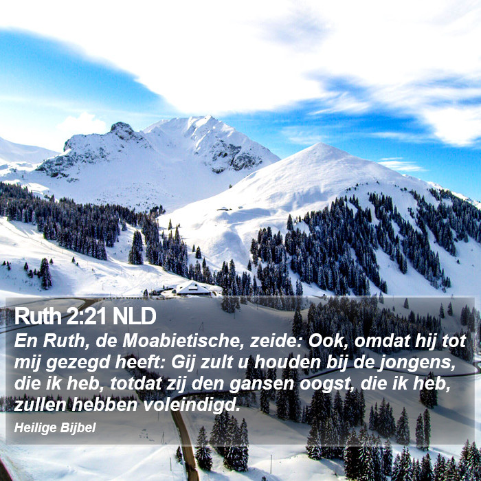 Ruth 2:21 NLD Bible Study