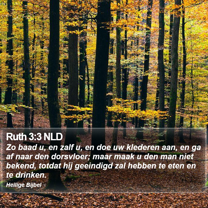 Ruth 3:3 NLD Bible Study