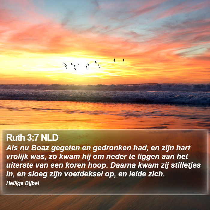 Ruth 3:7 NLD Bible Study