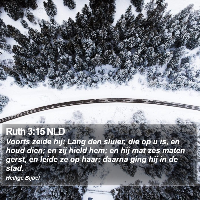 Ruth 3:15 NLD Bible Study