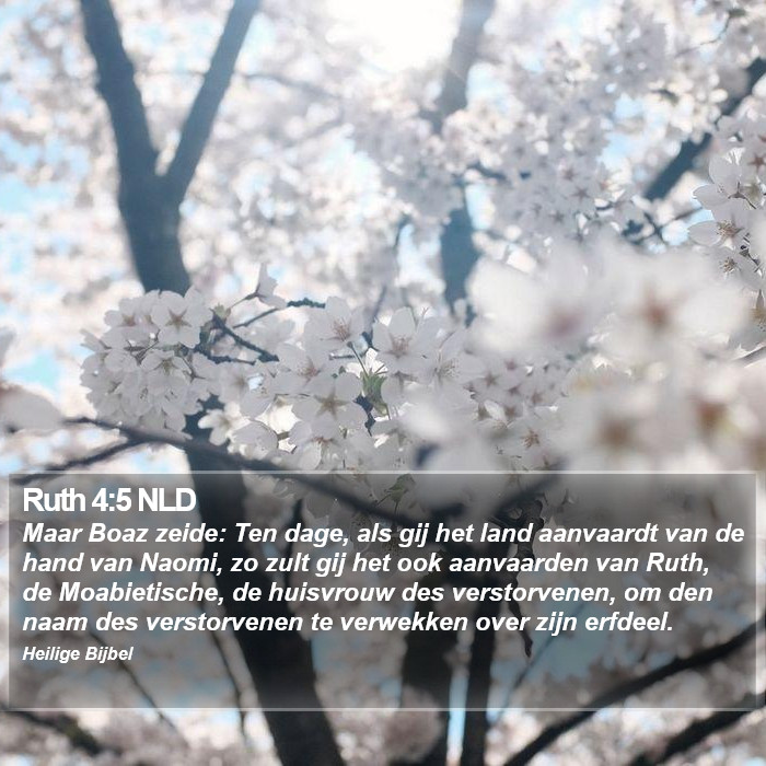 Ruth 4:5 NLD Bible Study