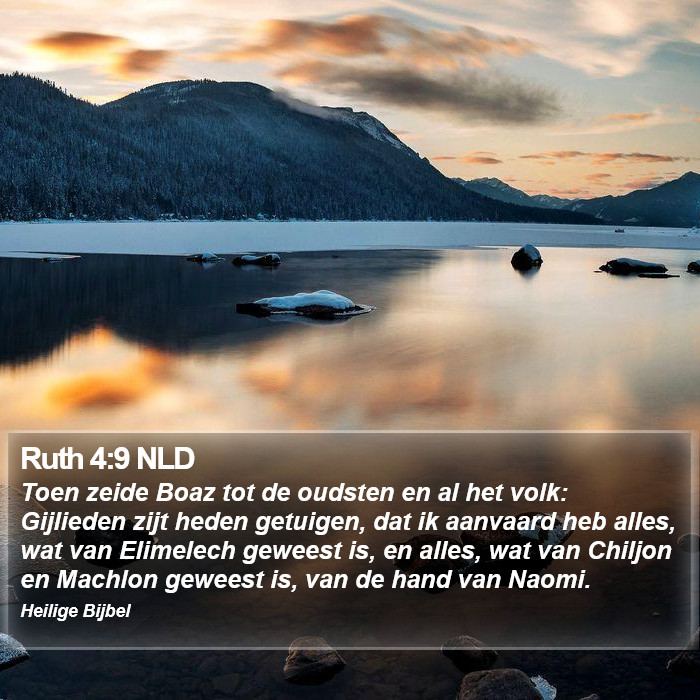 Ruth 4:9 NLD Bible Study