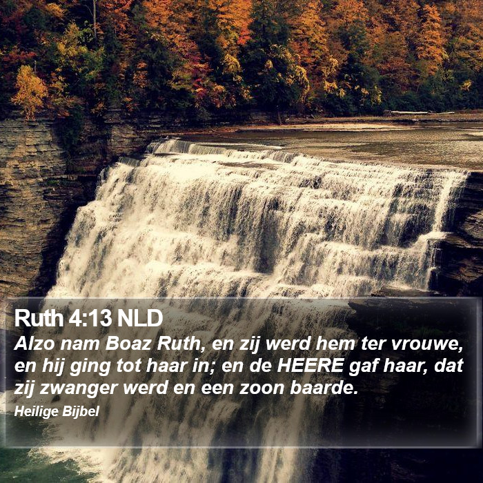 Ruth 4:13 NLD Bible Study