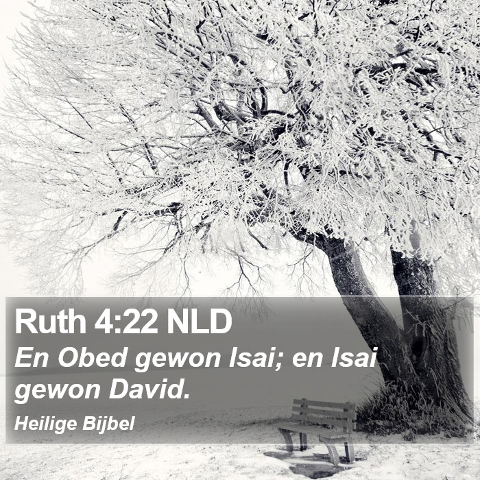 Ruth 4:22 NLD Bible Study