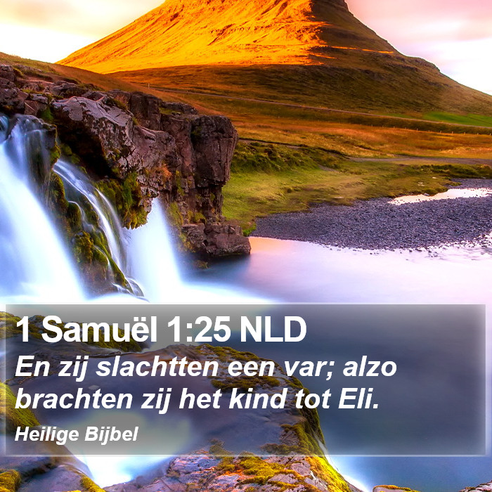 1 Samuël 1:25 NLD Bible Study